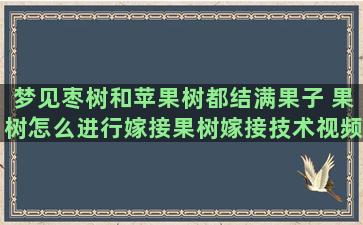 梦见枣树和苹果树都结满果子 果树怎么进行嫁接果树嫁接技术视频